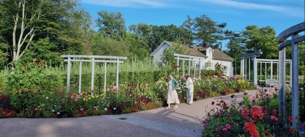 Göteborgs botaniske have