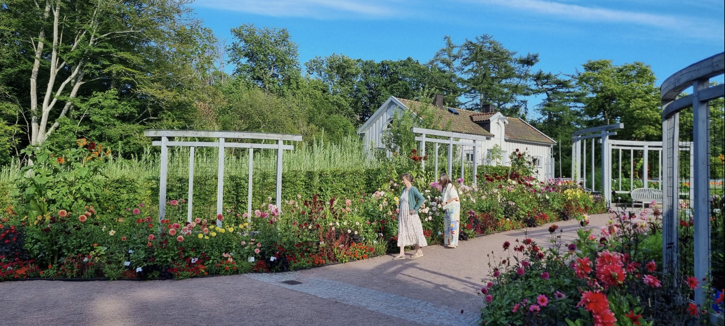 Göteborgs botaniske have