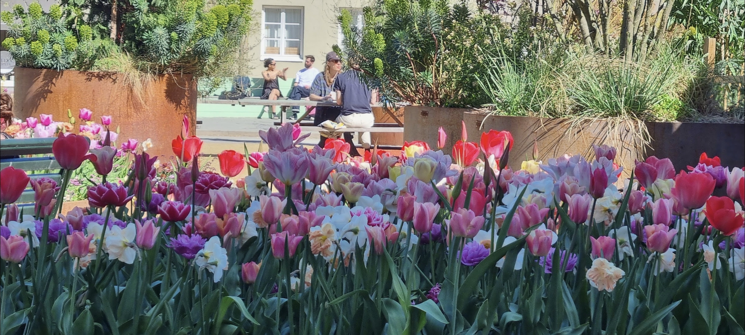 Hyggelig stemning på Davidhallstorg i Malmö