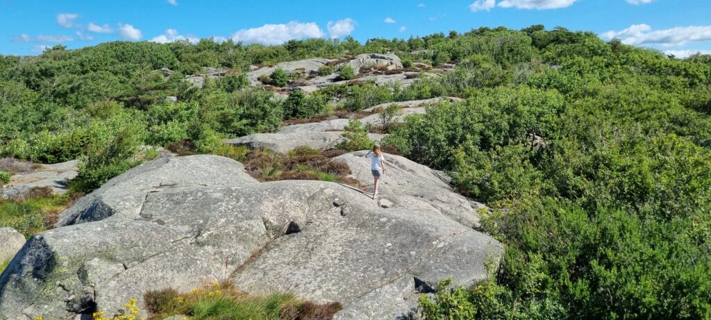 Strand og klipper i Göteborgs skærgård: Fiskebäcksbadet