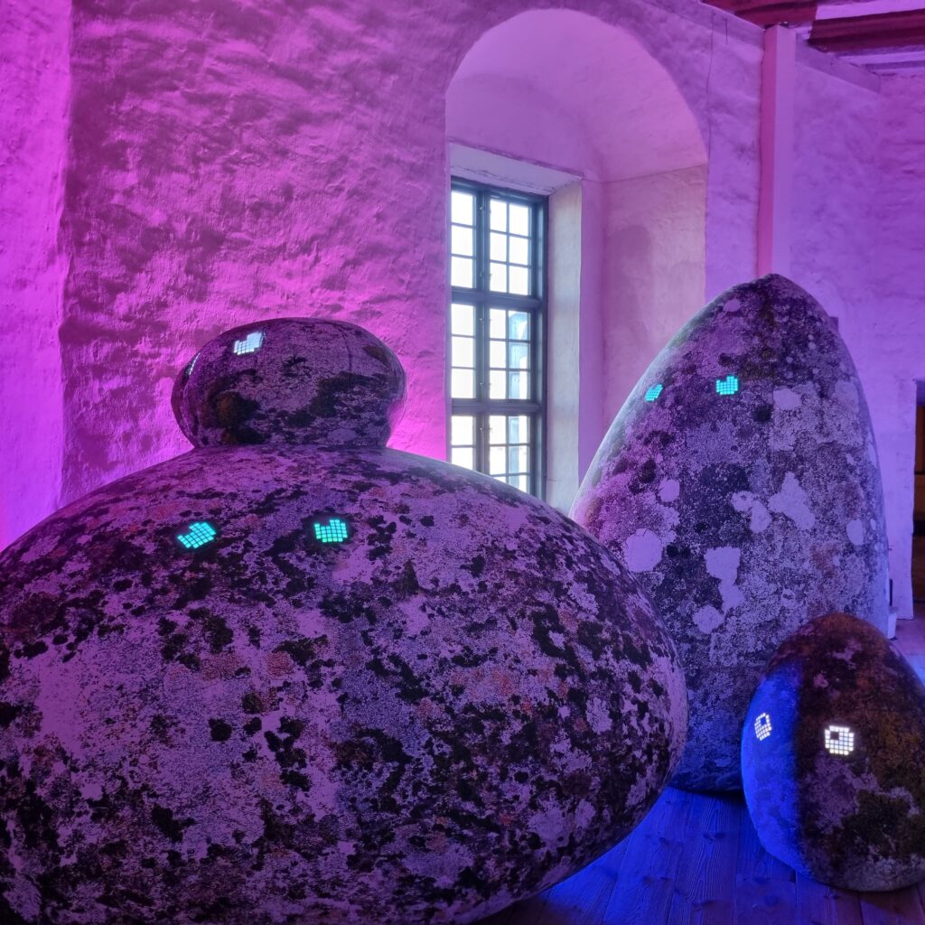 En dag på Kalmar Slot: Historie, kunst og smuk natur