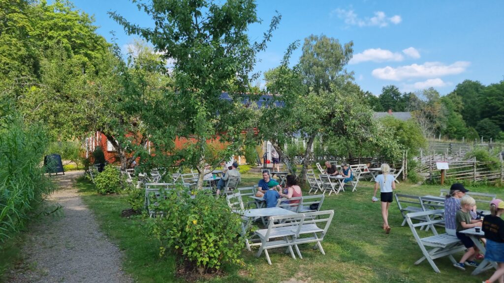 Linnés Råshult: En tidsrejse til naturens rige