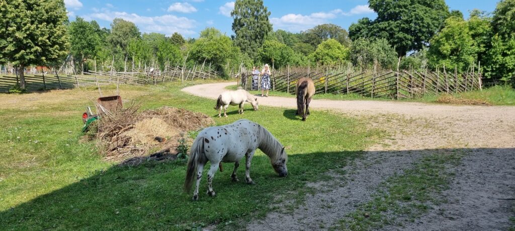 Linnés Råshult: En tidsrejse til naturens rige