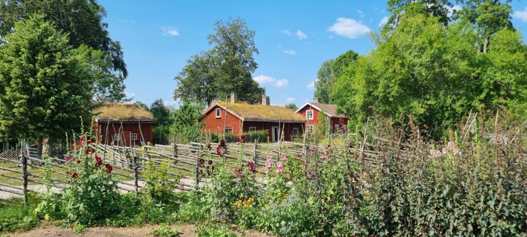 Linnés Råshult: En tidsrejse til naturens rige
