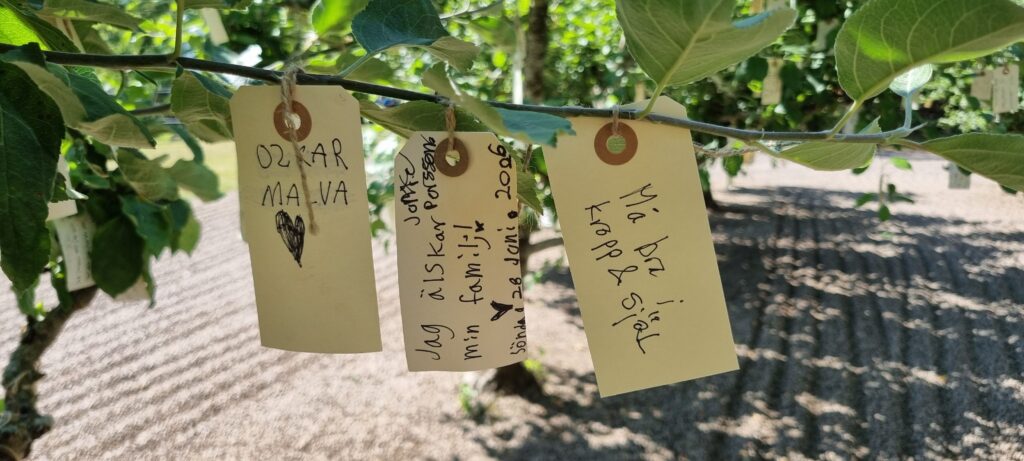 Wanås Kunst - Enestående kunstoplevelse midt i den svenske natur!
