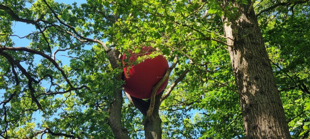 Wanås Kunst - Enestående kunstoplevelse midt i den svenske natur!